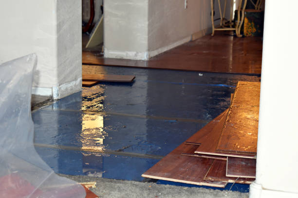 Professional Crawl Space Water Removal technician working in Sandy Hook, CT
